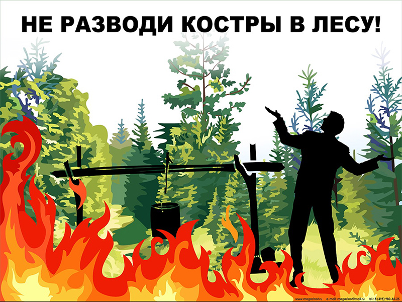 Плакаты «Берегите лес» (ЭКО-01, ламинированная бумага, А2, 3 листа)